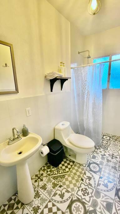 Amazing Cozy Apartment In Condesa Mexico by Eksteriør bilde
